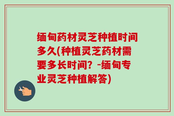 缅甸药材灵芝种植时间多久(种植灵芝药材需要多长时间？-缅甸专业灵芝种植解答)