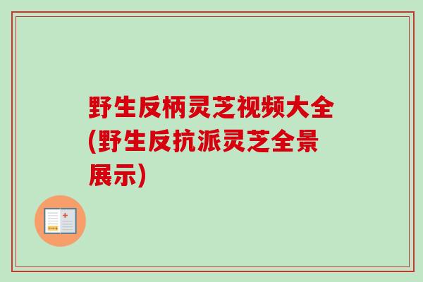 野生反柄灵芝视频大全(野生反抗派灵芝全景展示) 野生反柄灵芝视频大全(野生反抗派灵芝全景展示)