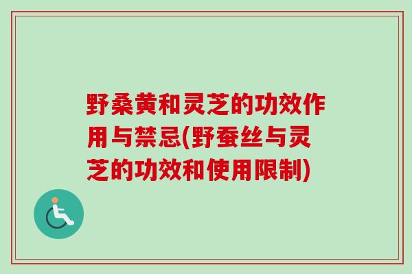 野桑黄和灵芝的功效作用与禁忌(野蚕丝与灵芝的功效和使用限制) 野桑黄和灵芝的功效作用与禁忌(野蚕丝与灵芝的功效和使用限制)