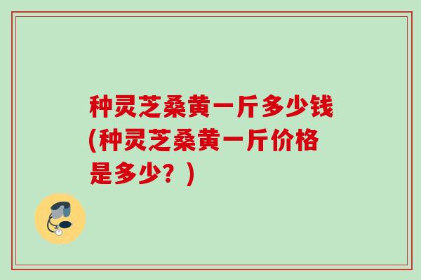 种灵芝桑黄一斤多少钱(种灵芝桑黄一斤价格是多少?) 种灵芝桑黄一斤多少钱(种灵芝桑黄一斤价格是多少?)