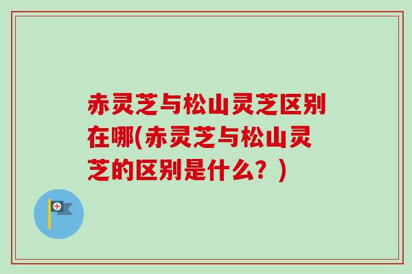 赤灵芝与松山灵芝区别在哪(赤灵芝与松山灵芝的区别是什么?) 赤灵芝与松山灵芝区别在哪(赤灵芝与松山灵芝的区别是什么?)