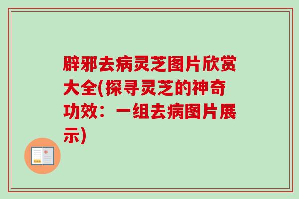 辟邪去灵芝图片欣赏大全(探寻灵芝的神奇功效：一组去图片展示)