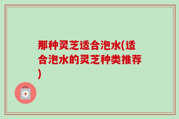 那种灵芝适合泡水(适合泡水的灵芝种类推荐)