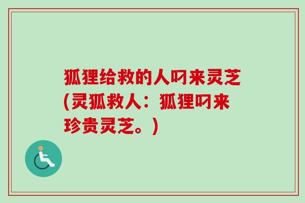 狐狸给救的人叼来灵芝(灵狐救人：狐狸叼来珍贵灵芝。)