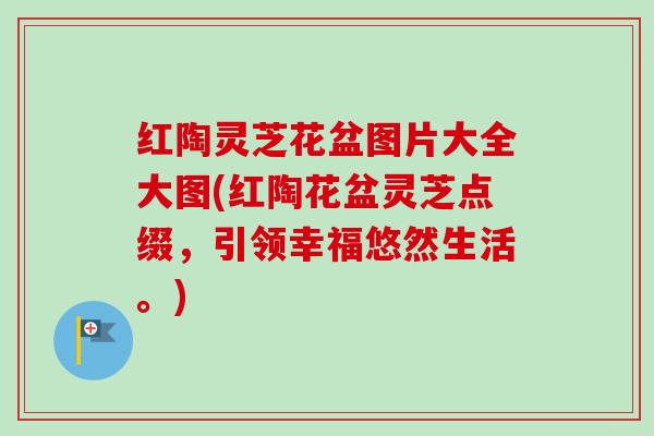 红陶灵芝花盆图片大全大图(红陶花盆灵芝点缀，引领幸福悠然生活。)