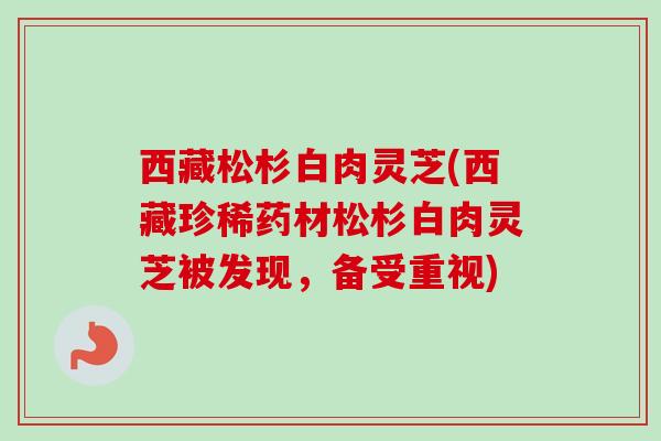 西藏松杉白肉灵芝(西藏珍稀药材松杉白肉灵芝被发现,备受重视) 西藏松杉白肉灵芝(西藏珍稀药材松杉白肉灵芝被发现,备受重视)