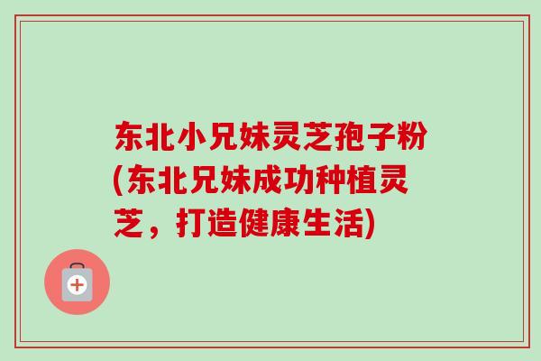 东北小兄妹灵芝孢子粉(东北兄妹成功种植灵芝，打造健康生活)