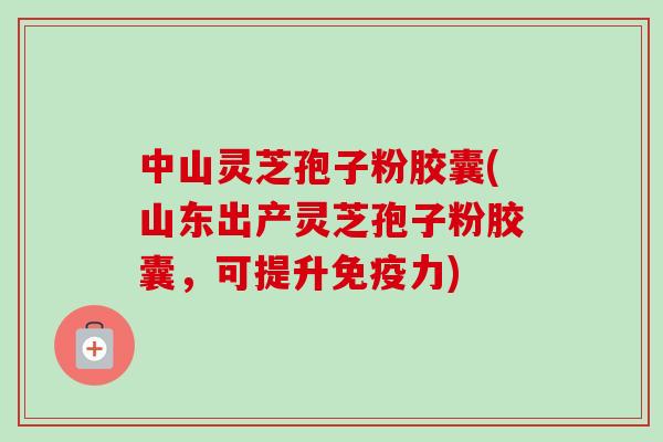 中山灵芝孢子粉胶囊(山东出产灵芝孢子粉胶囊,可提升免疫力) 中山灵芝孢子粉胶囊(山东出产灵芝孢子粉胶囊,可提升免疫力)