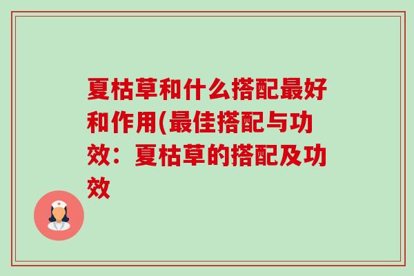 夏枯草和什么搭配好和作用(佳搭配与功效：夏枯草的搭配及功效