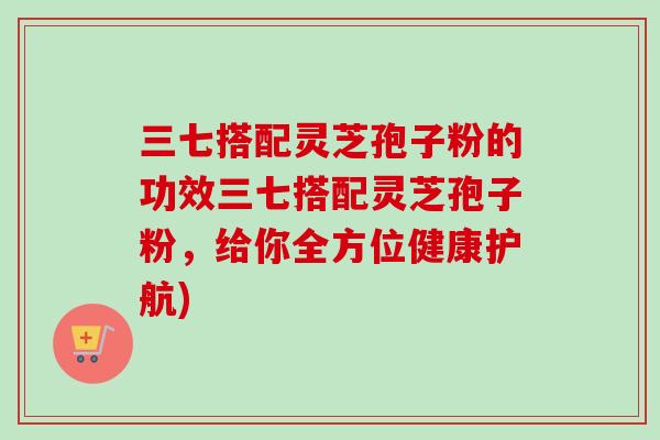 三七搭配灵芝孢子粉的功效三七搭配灵芝孢子粉,给你全方位健康护航) 三七搭配灵芝孢子粉的功效三七搭配灵芝孢子粉,给你全方位健康护航)