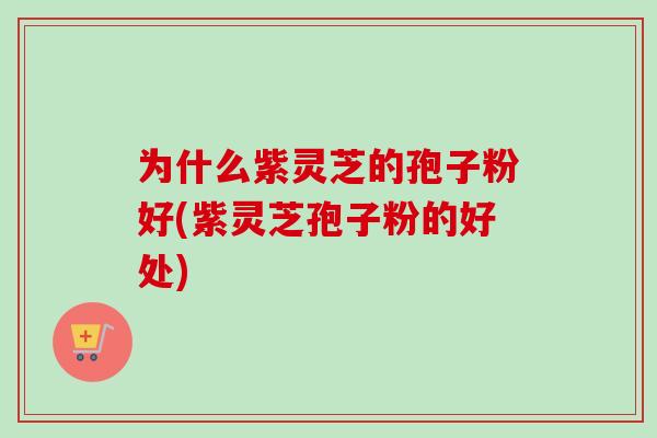 为什么紫灵芝的孢子粉好(紫灵芝孢子粉的好处) 为什么紫灵芝的孢子粉好(紫灵芝孢子粉的好处)