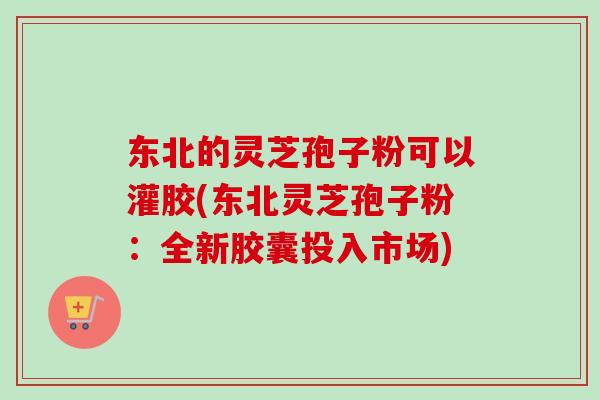 东北的灵芝孢子粉可以灌胶(东北灵芝孢子粉:全新胶囊投入市场) 东北的灵芝孢子粉可以灌胶(东北灵芝孢子粉:全新胶囊投入市场)