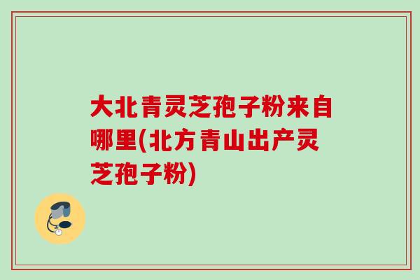 大北青灵芝孢子粉来自哪里(北方青山出产灵芝孢子粉)