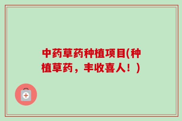 草药种植项目(种植草药，丰收喜人！)