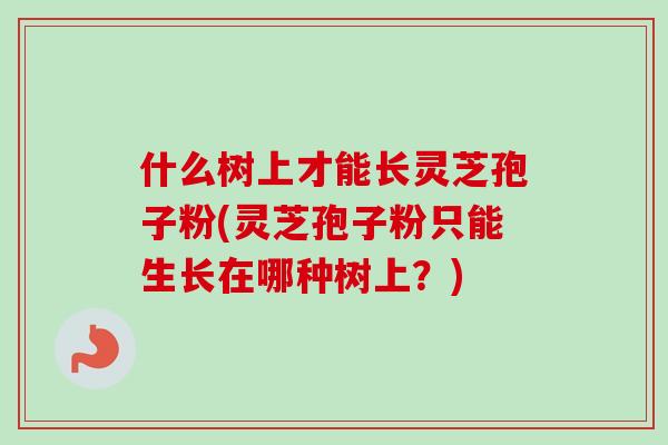 什么树上才能长灵芝孢子粉(灵芝孢子粉只能生长在哪种树上?) 什么树上才能长灵芝孢子粉(灵芝孢子粉只能生长在哪种树上?)