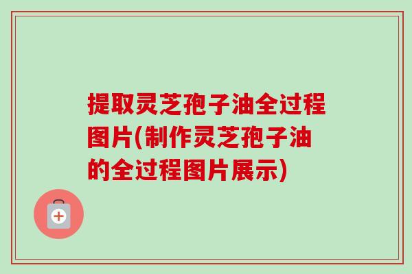 提取灵芝孢子油全过程图片(制作灵芝孢子油的全过程图片展示) 提取灵芝孢子油全过程图片(制作灵芝孢子油的全过程图片展示)