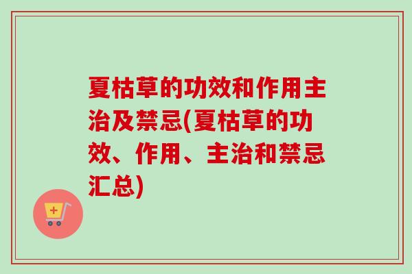 夏枯草的功效和作用主及禁忌(夏枯草的功效、作用、主和禁忌汇总) 夏枯草的功效和作用主及禁忌(夏枯草的功效、作用、主和禁忌汇总)