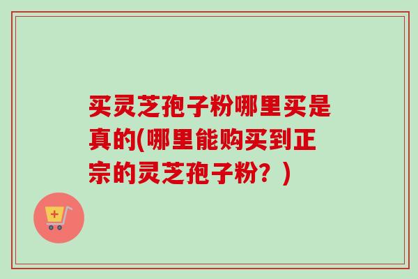 买灵芝孢子粉哪里买是真的(哪里能购买到正宗的灵芝孢子粉?) 买灵芝孢子粉哪里买是真的(哪里能购买到正宗的灵芝孢子粉?)