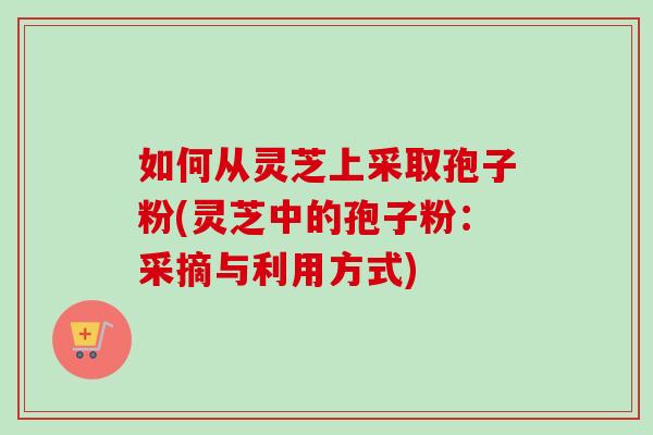 如何从灵芝上采取孢子粉(灵芝中的孢子粉:采摘与利用方式) 如何从灵芝上采取孢子粉(灵芝中的孢子粉:采摘与利用方式)