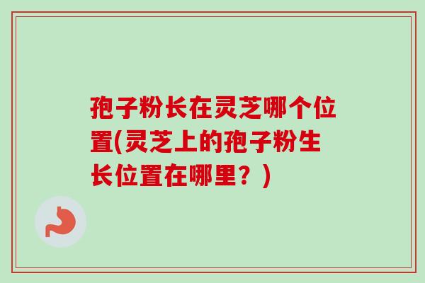 孢子粉长在灵芝哪个位置(灵芝上的孢子粉生长位置在哪里?) 孢子粉长在灵芝哪个位置(灵芝上的孢子粉生长位置在哪里?)