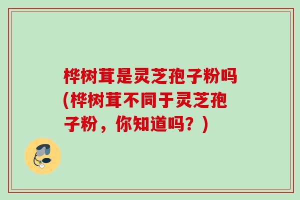桦树茸是灵芝孢子粉吗(桦树茸不同于灵芝孢子粉，你知道吗？)