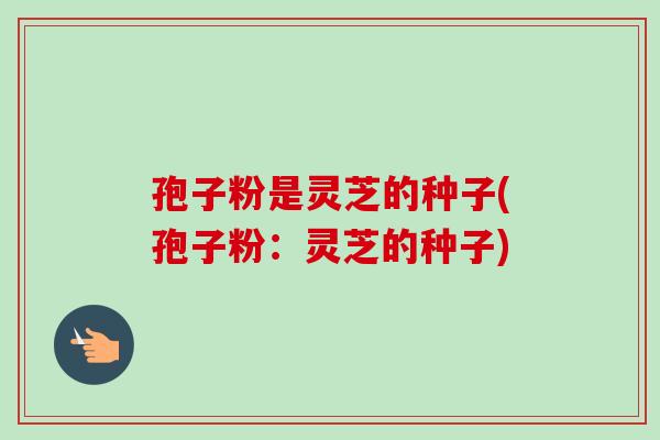 孢子粉是灵芝的种子(孢子粉:灵芝的种子) 孢子粉是灵芝的种子(孢子粉:灵芝的种子)