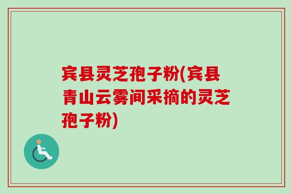 宾县灵芝孢子粉(宾县青山云雾间采摘的灵芝孢子粉) 宾县灵芝孢子粉(宾县青山云雾间采摘的灵芝孢子粉)