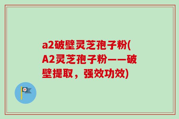 a2破壁灵芝孢子粉(A2灵芝孢子粉——破壁提取，强效功效)