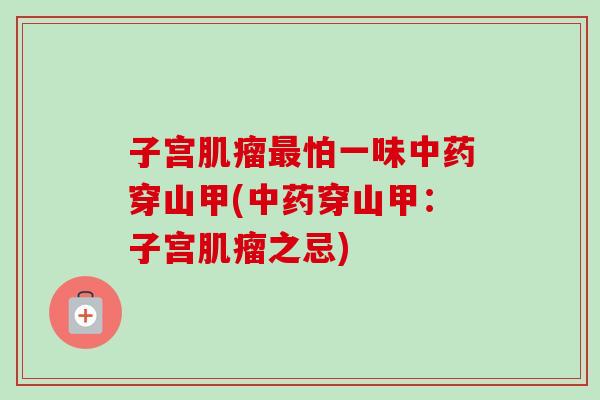 子宫怕一味穿山甲(穿山甲：子宫之忌)