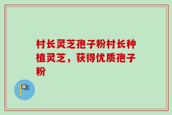 村长灵芝孢子粉村长种植灵芝,获得优质孢子粉 村长灵芝孢子粉村长种植灵芝,获得优质孢子粉