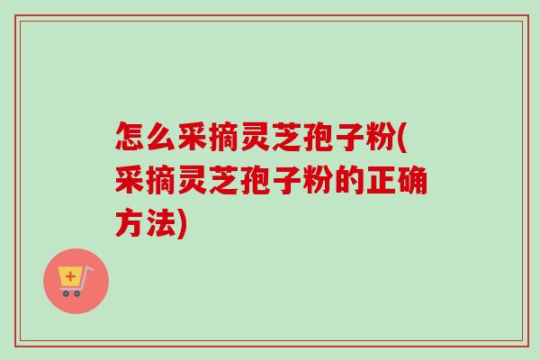 怎么采摘灵芝孢子粉(采摘灵芝孢子粉的正确方法) 怎么采摘灵芝孢子粉(采摘灵芝孢子粉的正确方法)
