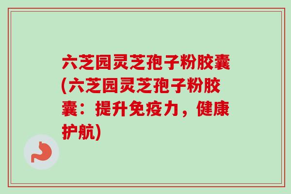 六芝园灵芝孢子粉胶囊(六芝园灵芝孢子粉胶囊:提升免疫力,健康护航) 六芝园灵芝孢子粉胶囊(六芝园灵芝孢子粉胶囊:提升免疫力,健康护航)