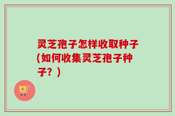 灵芝孢子怎样收取种子(如何收集灵芝孢子种子？)
