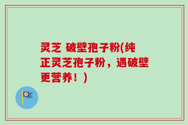 灵芝 破壁孢子粉(纯正灵芝孢子粉,遇破壁更营养!) 灵芝 破壁孢子粉(纯正灵芝孢子粉,遇破壁更营养!)
