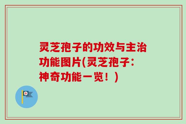 灵芝孢子的功效与主功能图片(灵芝孢子：神奇功能一览！)