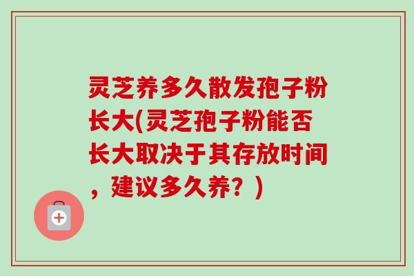 灵芝养多久散发孢子粉长大(灵芝孢子粉能否长大取决于其存放时间,建议多久养?) 灵芝养多久散发孢子粉长大(灵芝孢子粉能否长大取决于其存放时间,建议多久养?)