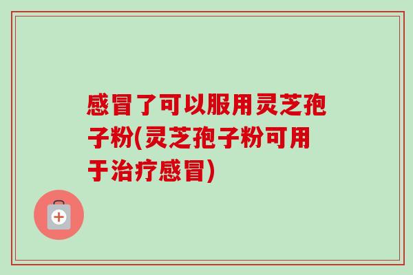 了可以服用灵芝孢子粉(灵芝孢子粉可用于)