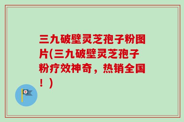 三九破壁灵芝孢子粉图片(三九破壁灵芝孢子粉疗效神奇,热销全国!) 三九破壁灵芝孢子粉图片(三九破壁灵芝孢子粉疗效神奇,热销全国!)