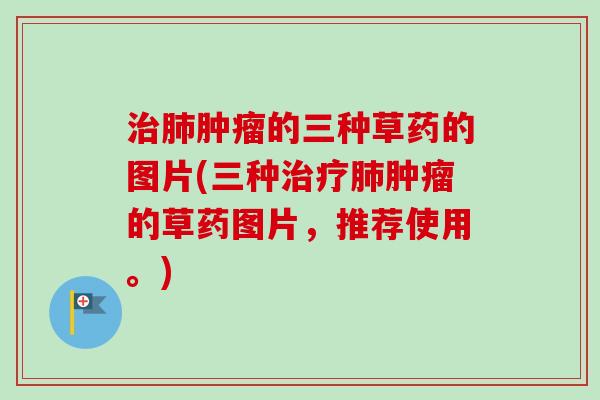 的三种草药的图片(三种的草药图片，推荐使用。)