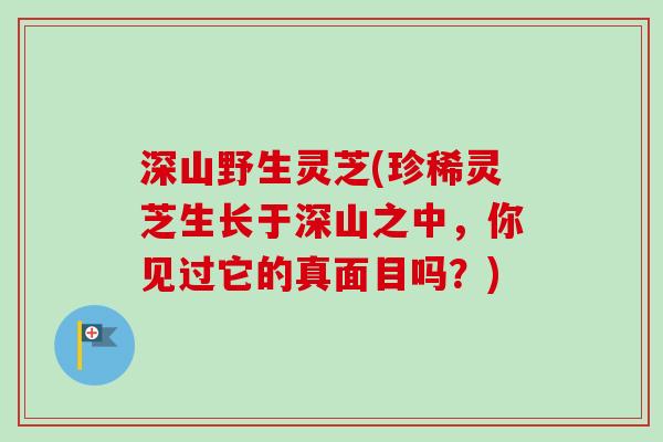 深山野生灵芝(珍稀灵芝生长于深山之中,你见过它的真面目吗?) 深山野生灵芝(珍稀灵芝生长于深山之中,你见过它的真面目吗?)