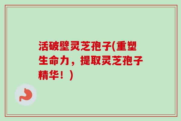 活破壁灵芝孢子(重塑生命力,提取灵芝孢子精华!) 活破壁灵芝孢子(重塑生命力,提取灵芝孢子精华!)