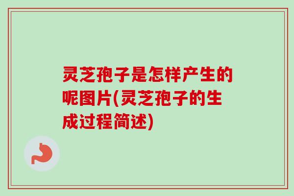 灵芝孢子是怎样产生的呢图片(灵芝孢子的生成过程简述)