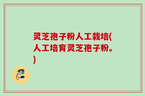 灵芝孢子粉人工栽培(人工培育灵芝孢子粉。) 灵芝孢子粉人工栽培(人工培育灵芝孢子粉。)