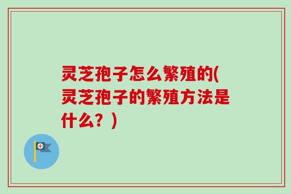 灵芝孢子怎么繁殖的(灵芝孢子的繁殖方法是什么?) 灵芝孢子怎么繁殖的(灵芝孢子的繁殖方法是什么?)