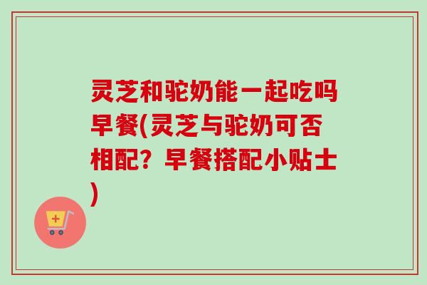 灵芝和驼奶能一起吃吗早餐(灵芝与驼奶可否相配?早餐搭配小贴士) 灵芝和驼奶能一起吃吗早餐(灵芝与驼奶可否相配?早餐搭配小贴士)