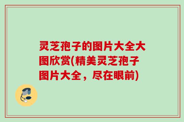 灵芝孢子的图片大全大图欣赏(精美灵芝孢子图片大全,尽在眼前) 灵芝孢子的图片大全大图欣赏(精美灵芝孢子图片大全,尽在眼前)