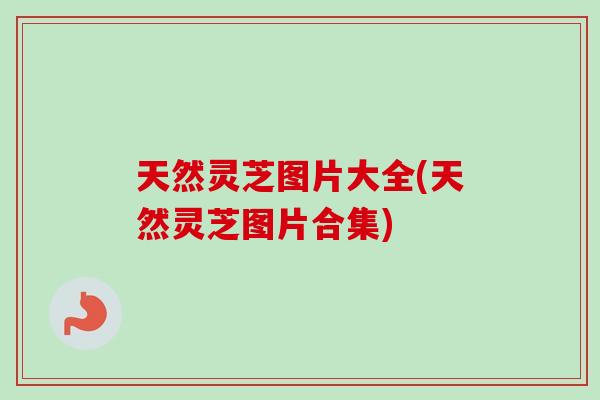 天然灵芝图片大全(天然灵芝图片合集)