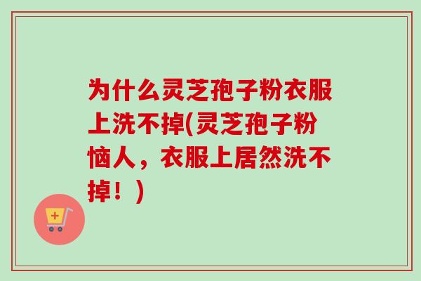 为什么灵芝孢子粉衣服上洗不掉(灵芝孢子粉恼人,衣服上居然洗不掉!) 为什么灵芝孢子粉衣服上洗不掉(灵芝孢子粉恼人,衣服上居然洗不掉!)