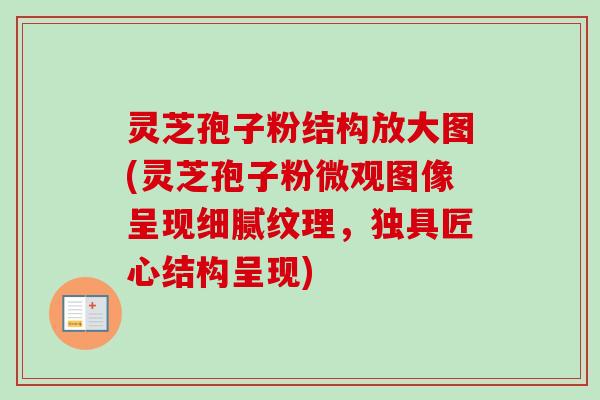 灵芝孢子粉结构放大图(灵芝孢子粉微观图像呈现细腻纹理，独具匠心结构呈现)