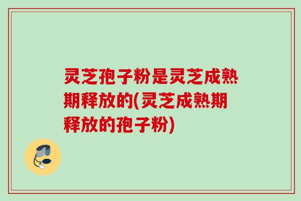 灵芝孢子粉是灵芝成熟期释放的(灵芝成熟期释放的孢子粉) 灵芝孢子粉是灵芝成熟期释放的(灵芝成熟期释放的孢子粉)